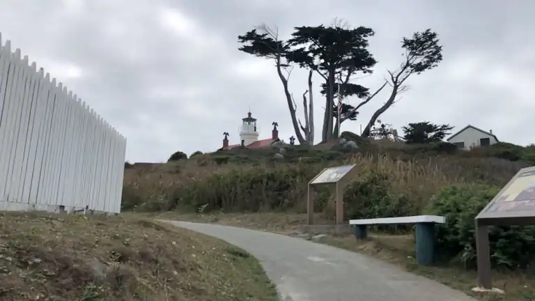 Battery Point Lighthouse in Crescent City California with walking path and cypress trees at low tide