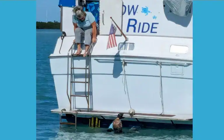 Matt and Linda working together on their boat Slow Ride during their Life Afloat season